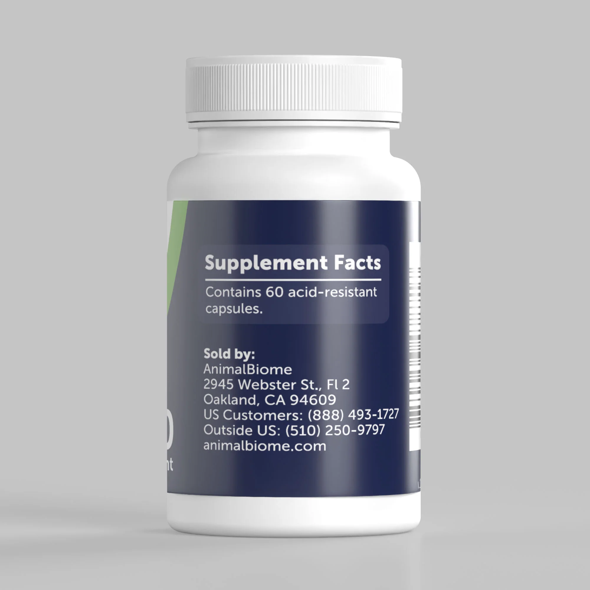 Delayed-Release Empty Capsules - Image 4