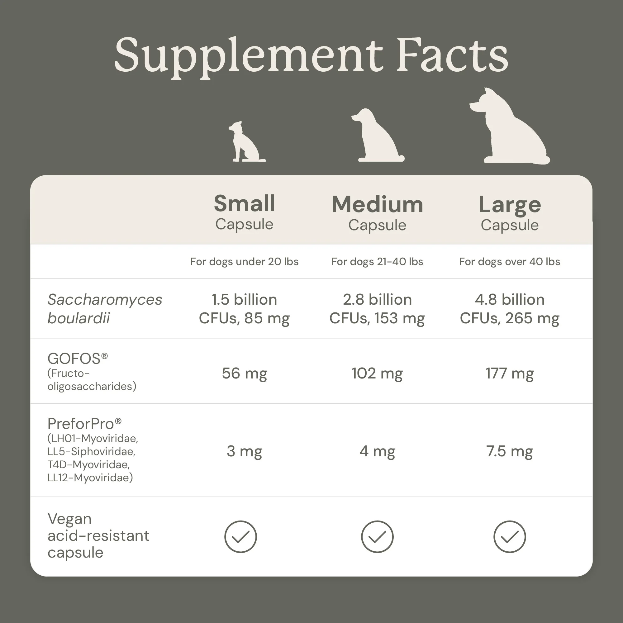Gut Maintain for Dogs - Image 14