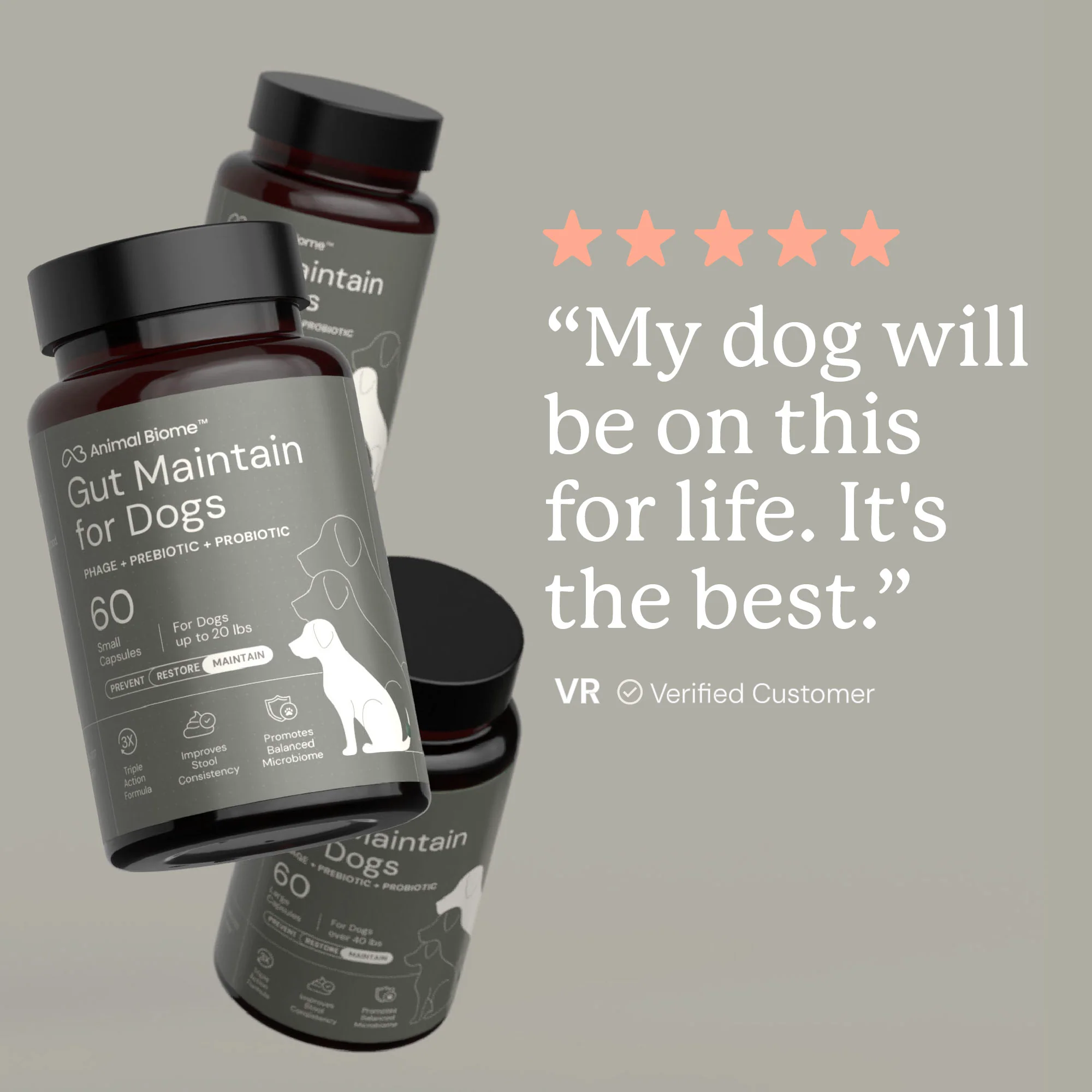 Gut Maintain for Dogs - Image 6