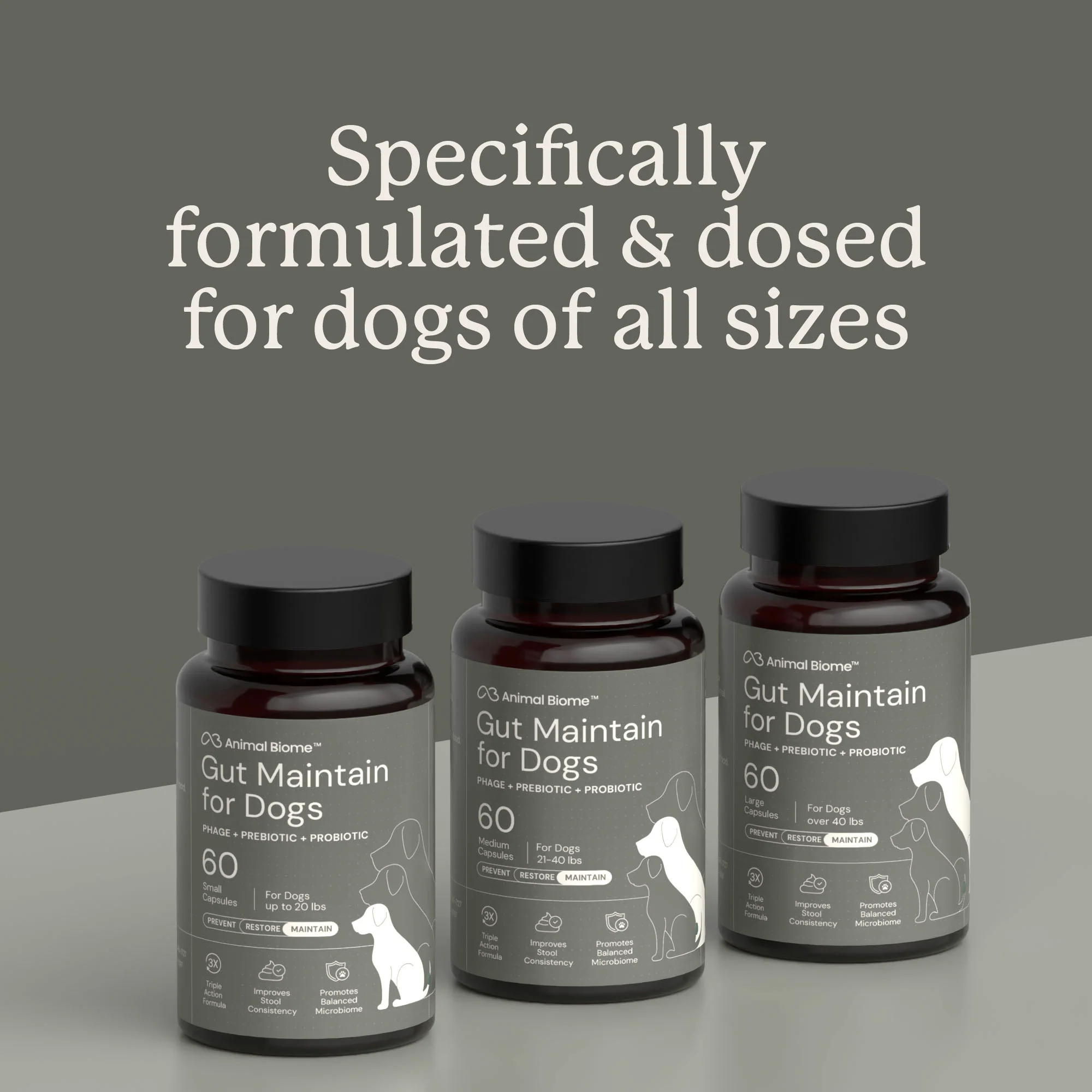 Gut Maintain for Dogs - Image 8