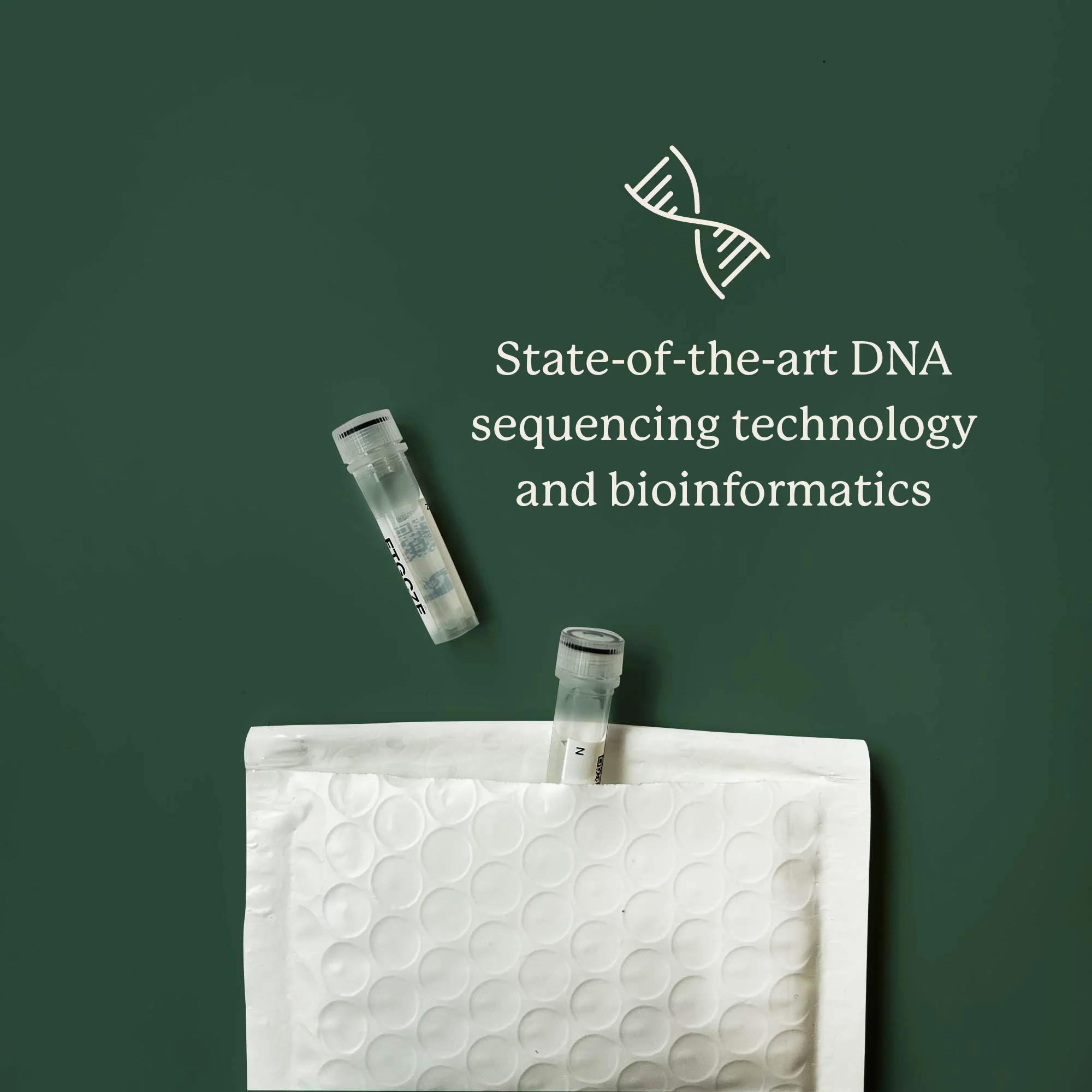 Gut Microbiome Test for Dogs - Image 13
