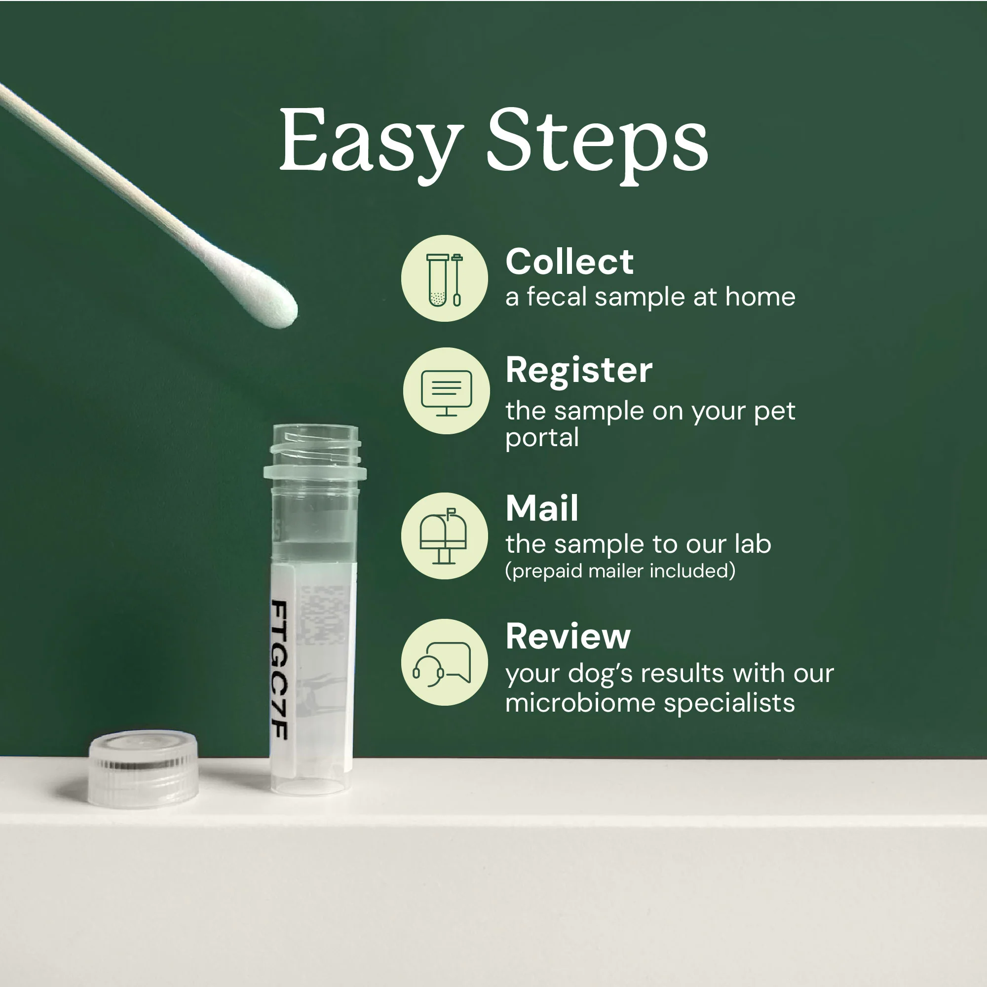 Gut Microbiome Test for Dogs - Image 4