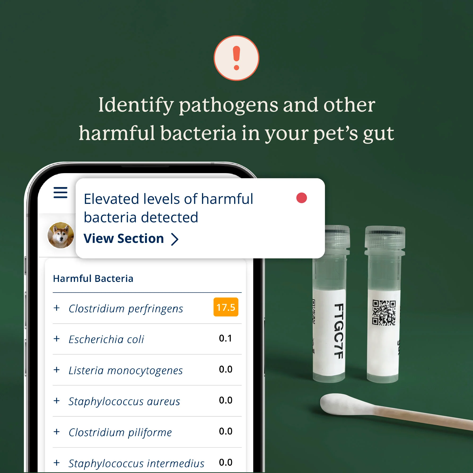 Gut Microbiome Test for Dogs - Image 5