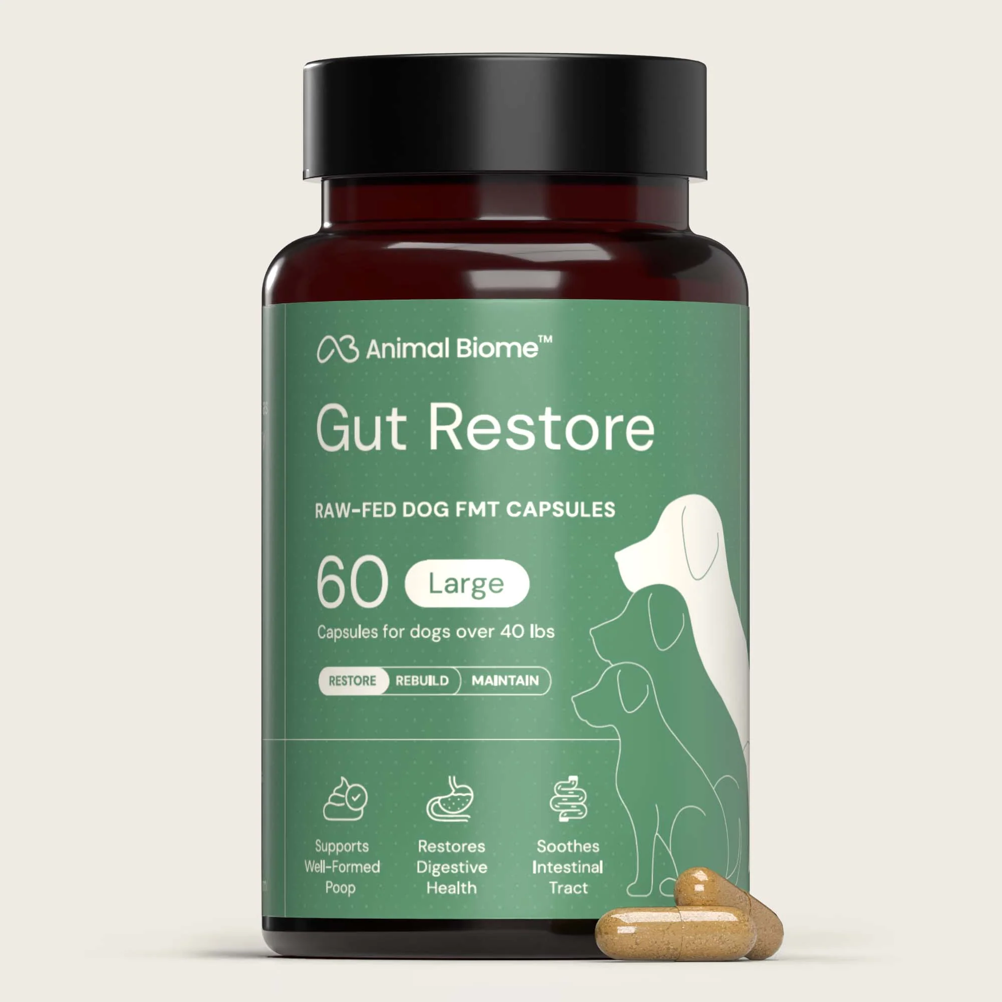 Gut Restore Supplement from Raw-Fed Dogs - Image 12