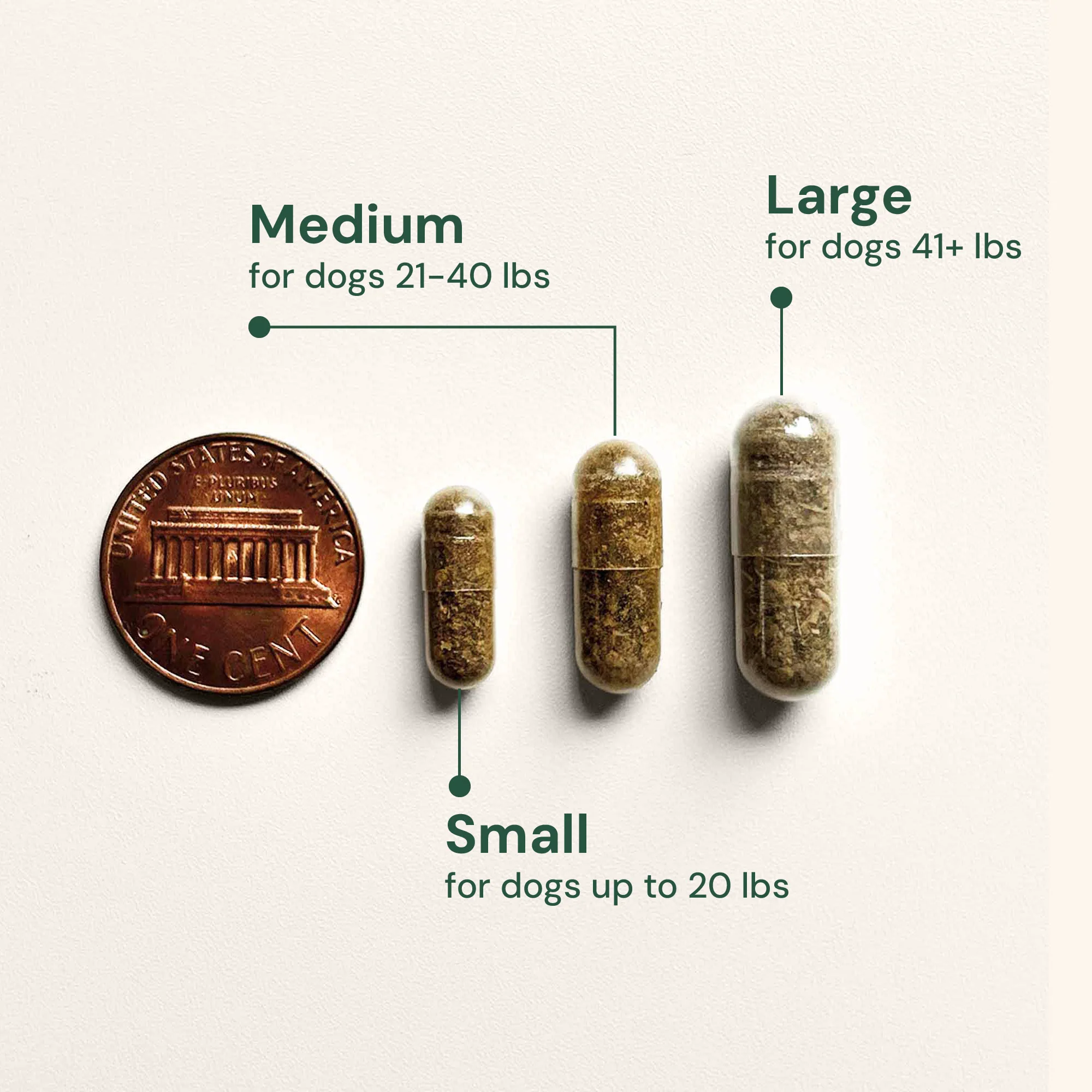 Gut Restore Supplement from Raw-Fed Dogs - Image 5