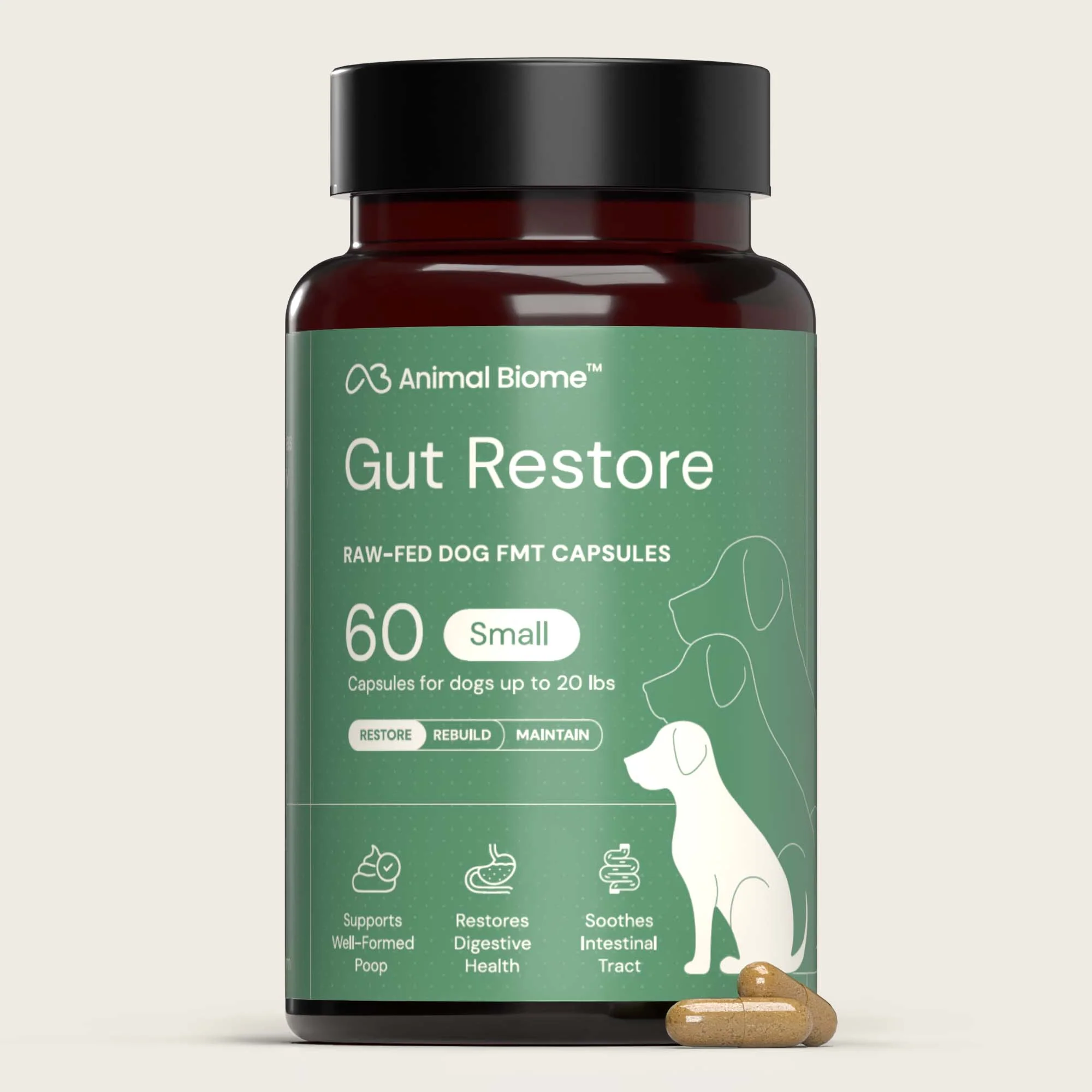 Gut Restore Supplement from Raw-Fed Dogs - Image 8