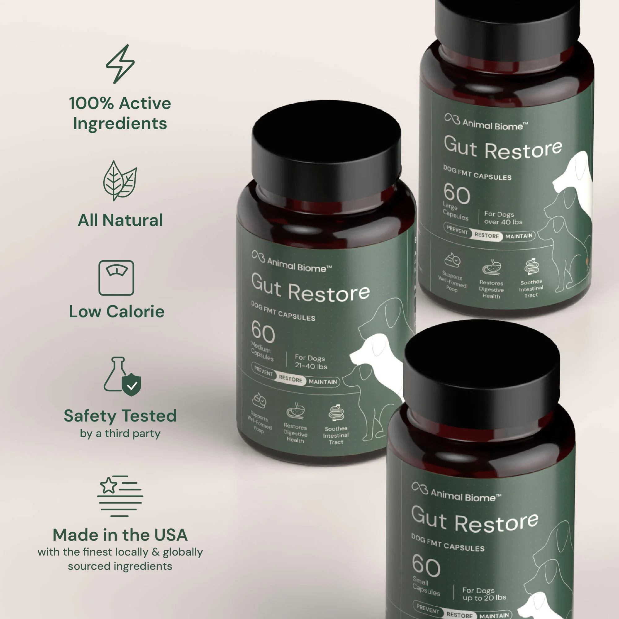 Gut Restore for Dogs - Image 10