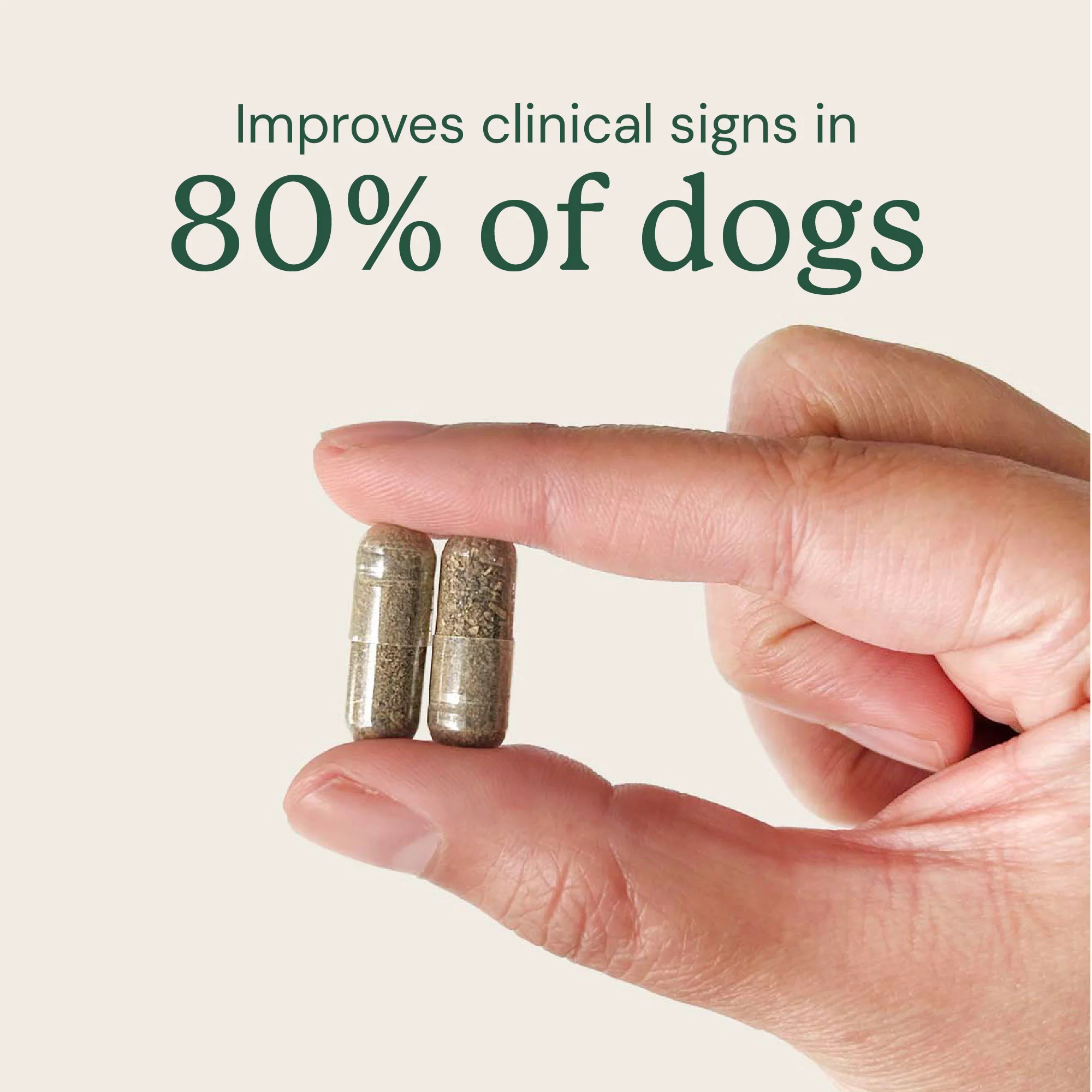 Gut Restore for Dogs - Image 3