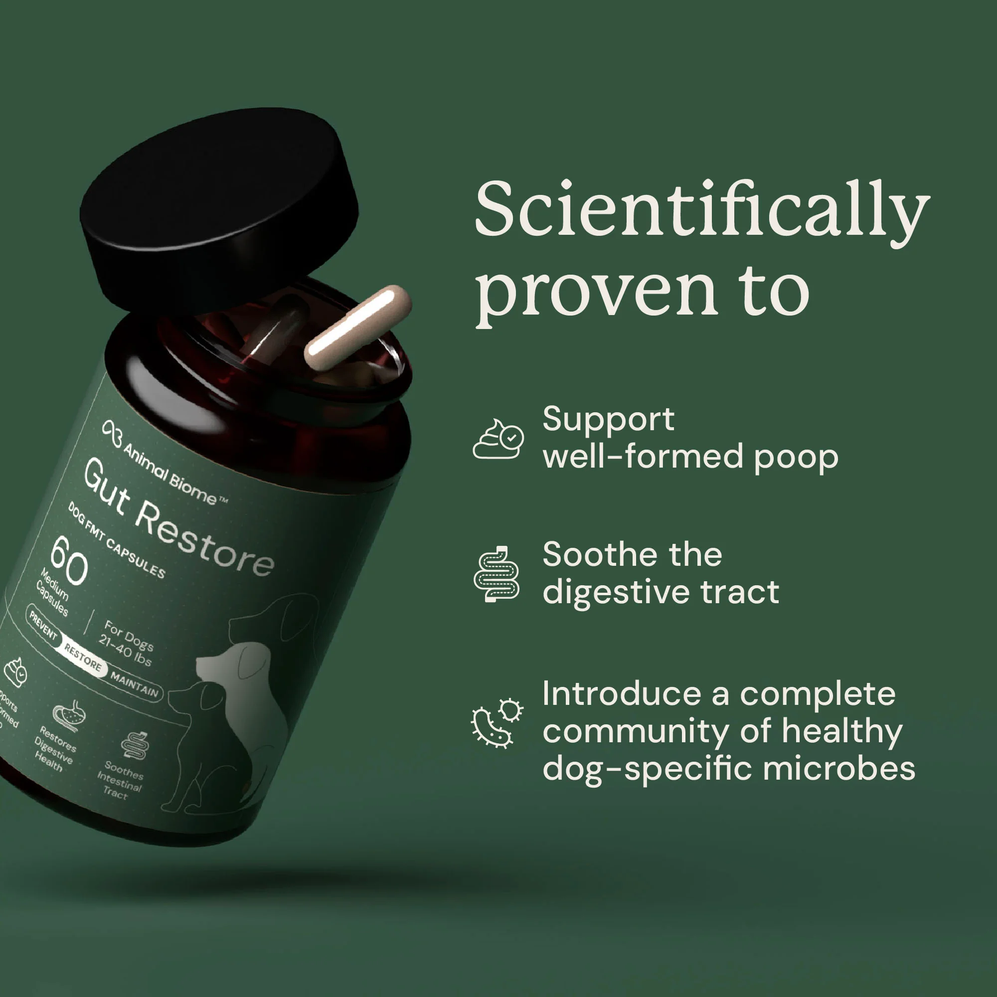 Gut Restore for Dogs - Image 4