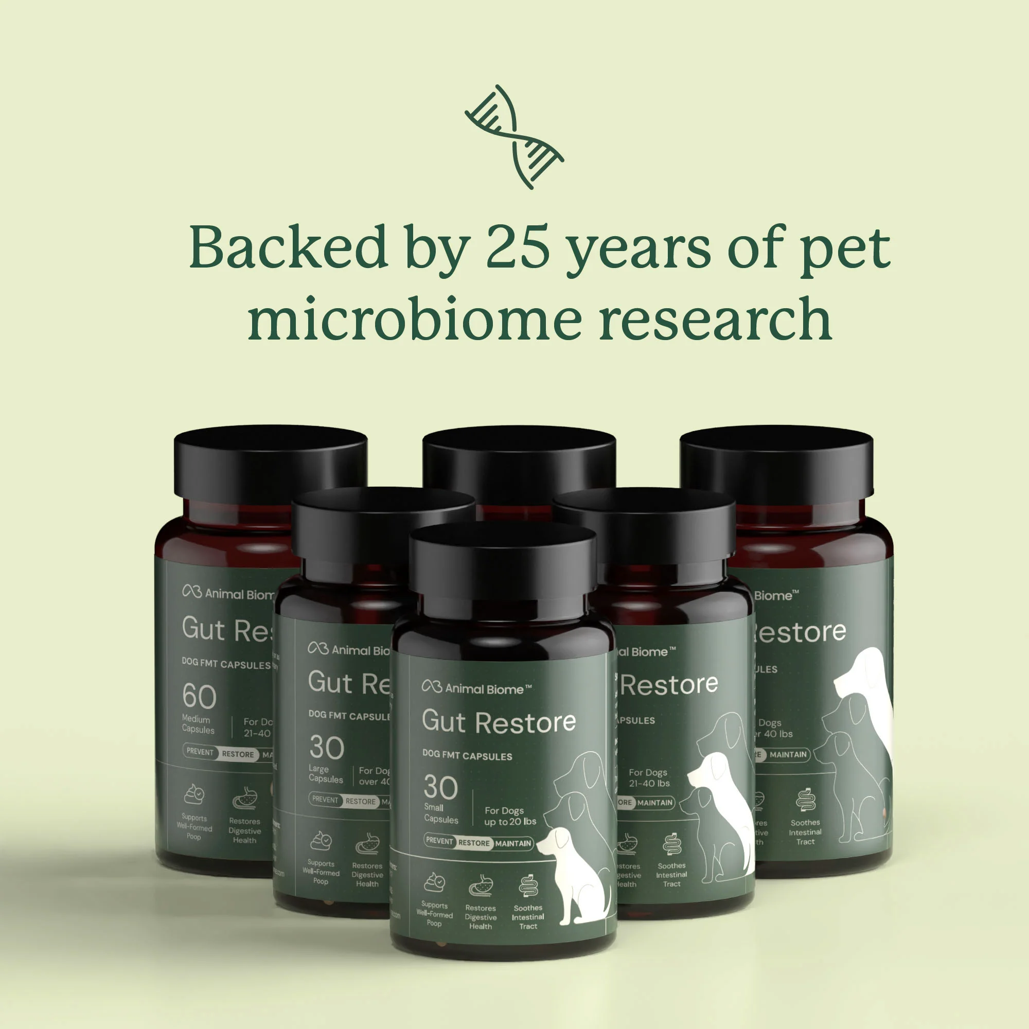Gut Restore for Dogs - Image 8