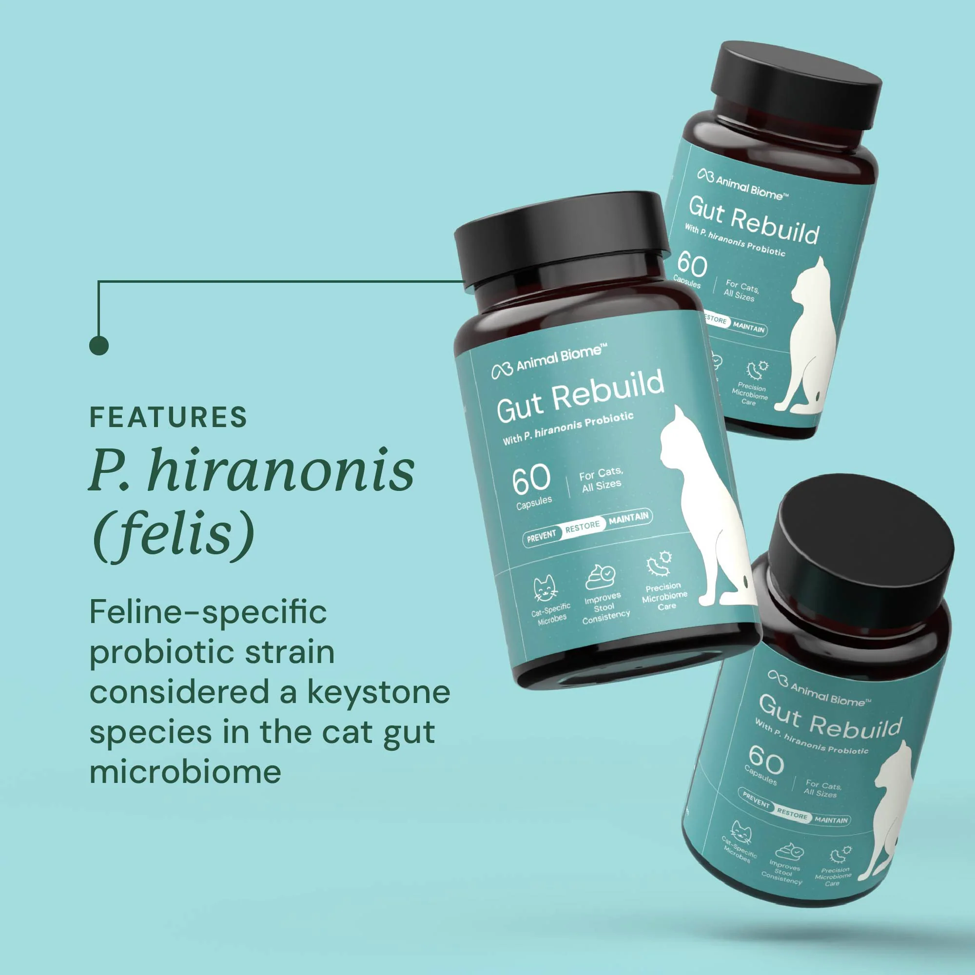Gut Rebuild for Cats - Image 3