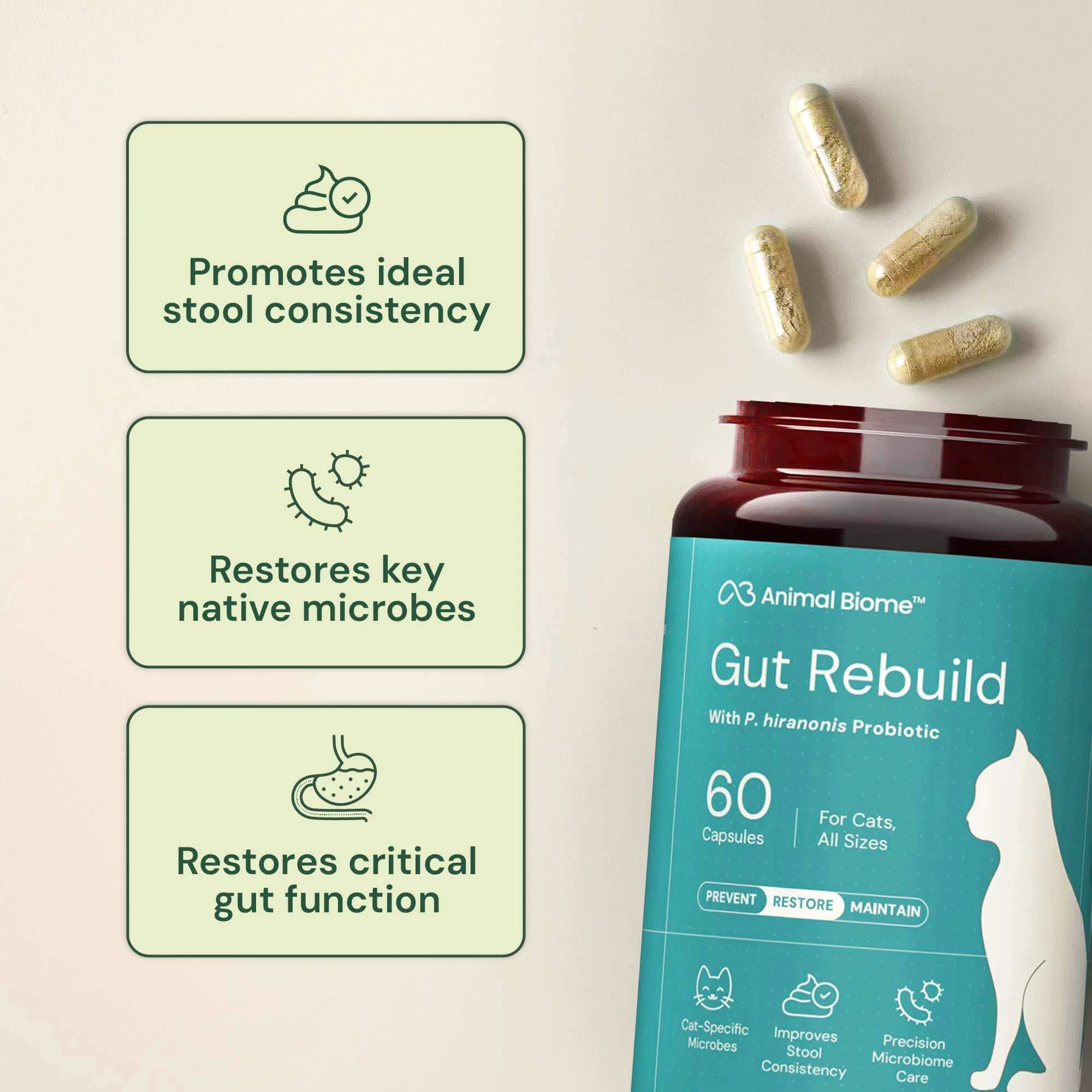 Gut Rebuild for Cats - Image 4
