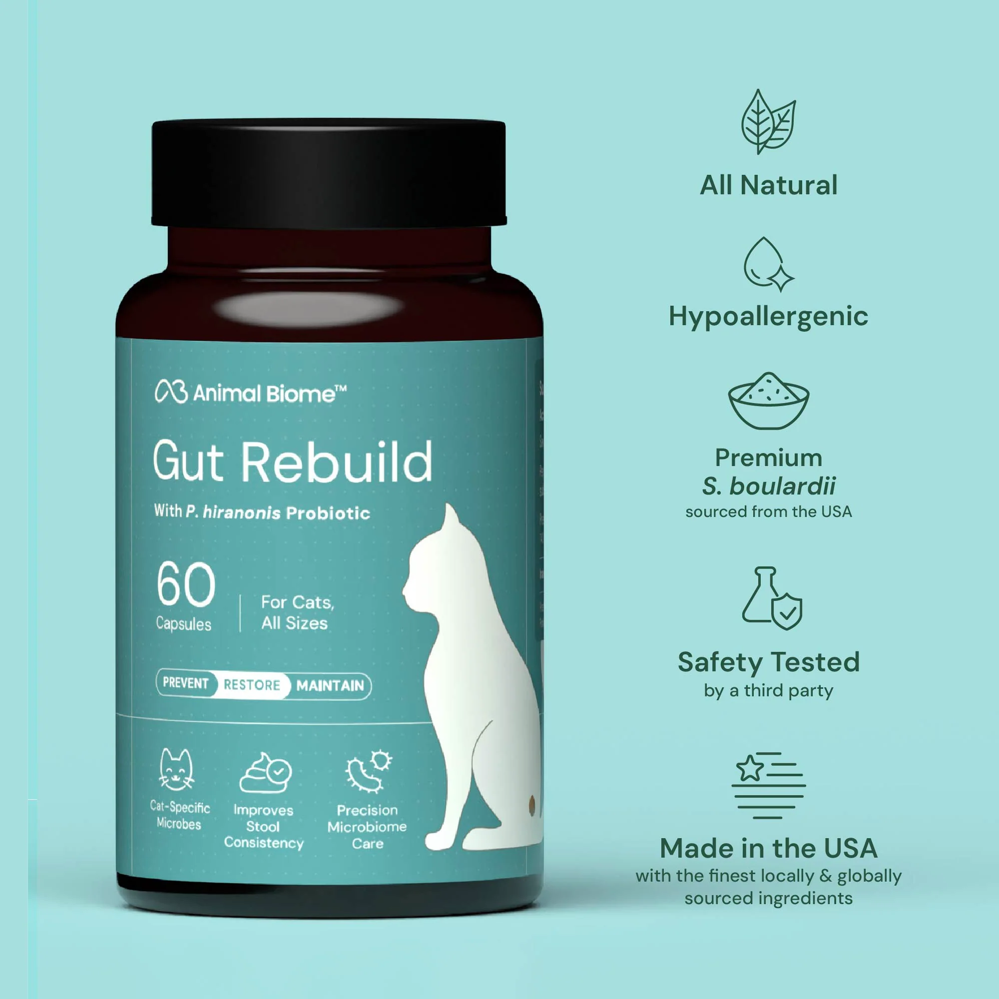 Gut Rebuild for Cats - Image 7