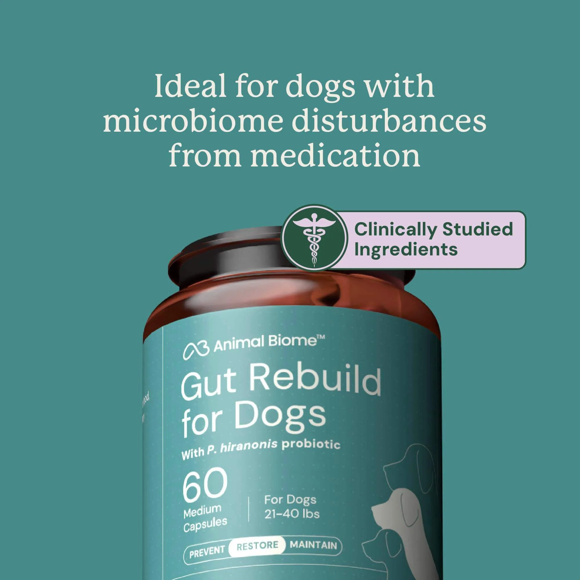 Gut Rebuild for Dogs - Image 6
