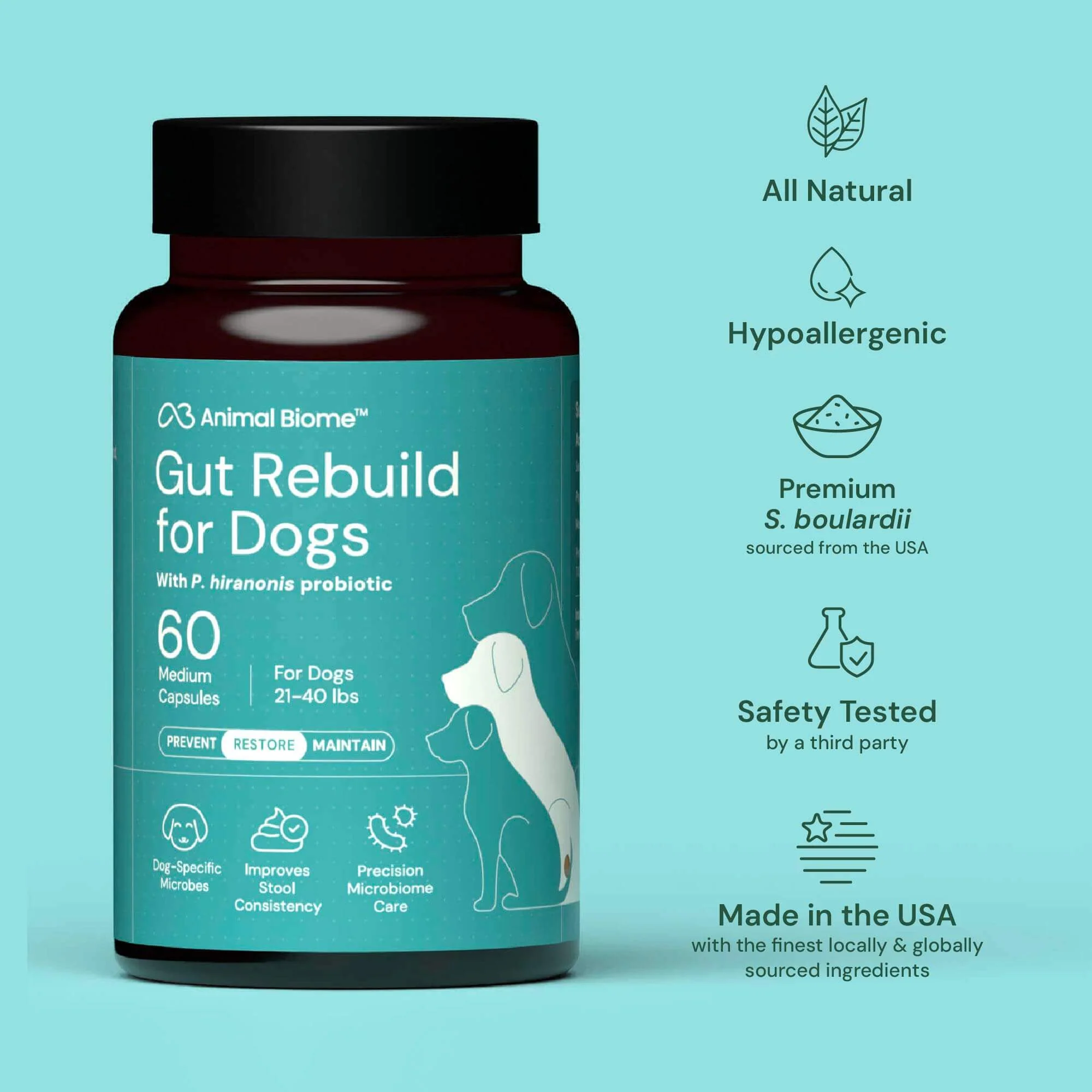 Gut Rebuild for Dogs - Image 7