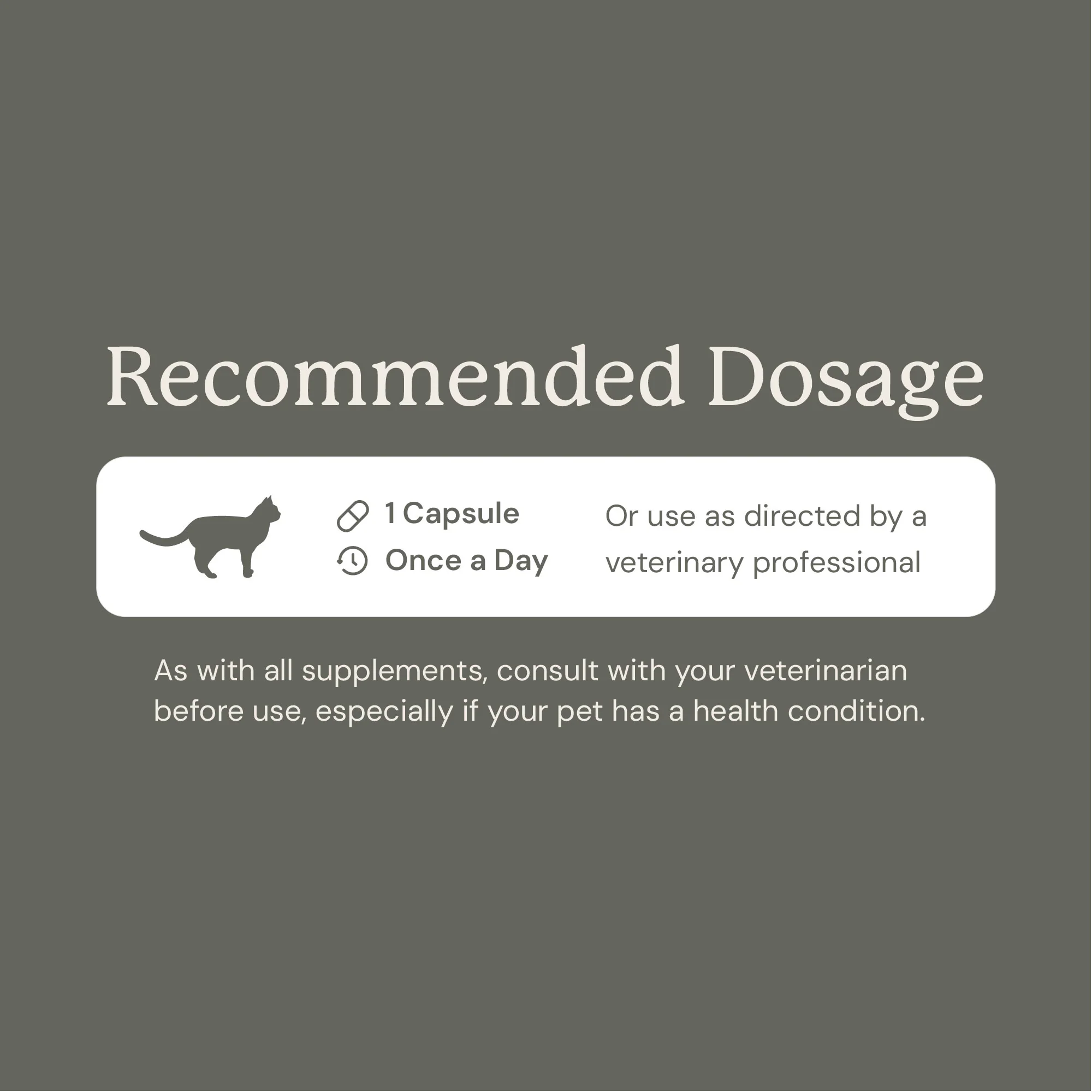 Gut Maintain for Cats - Image 11