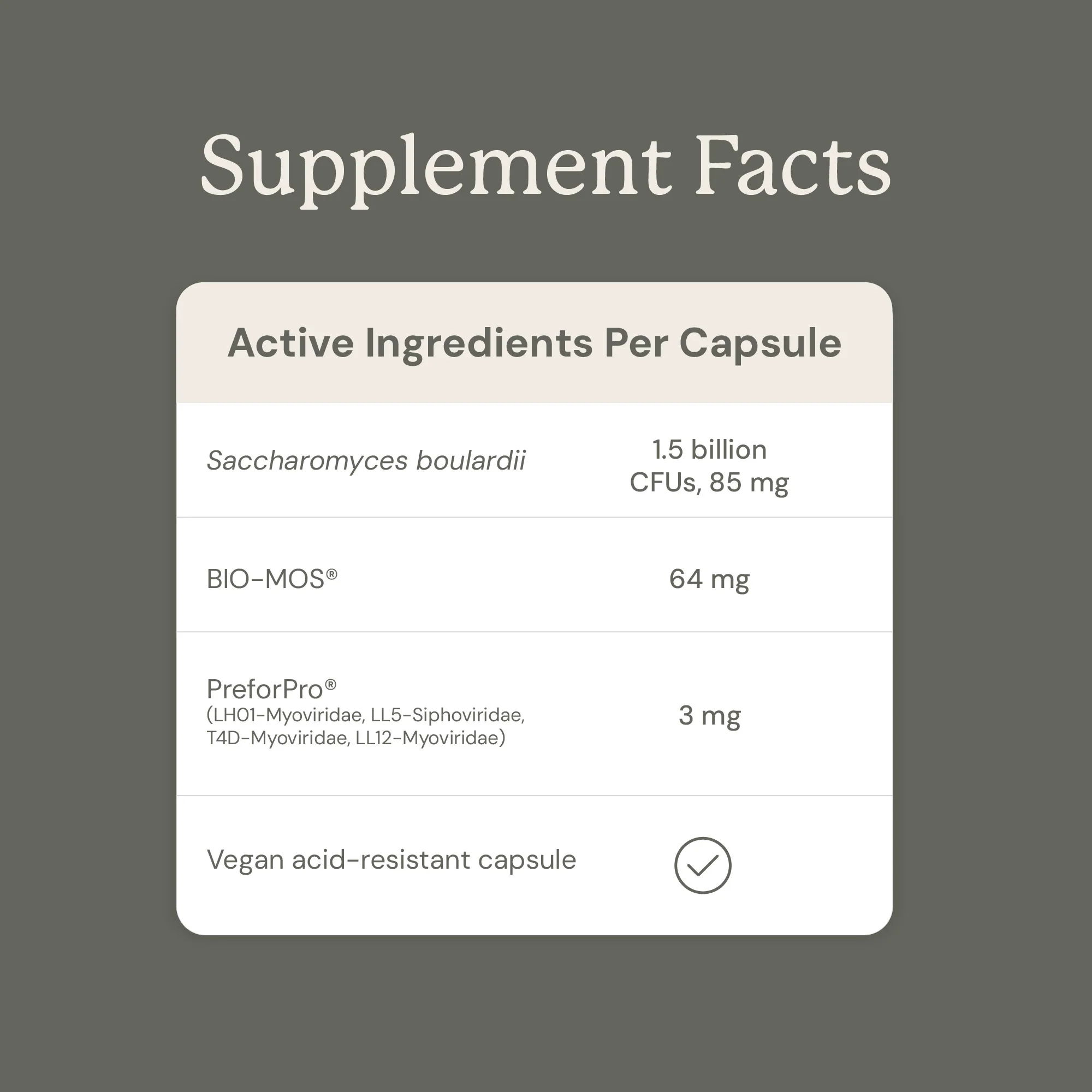 Gut Maintain for Cats - Image 12