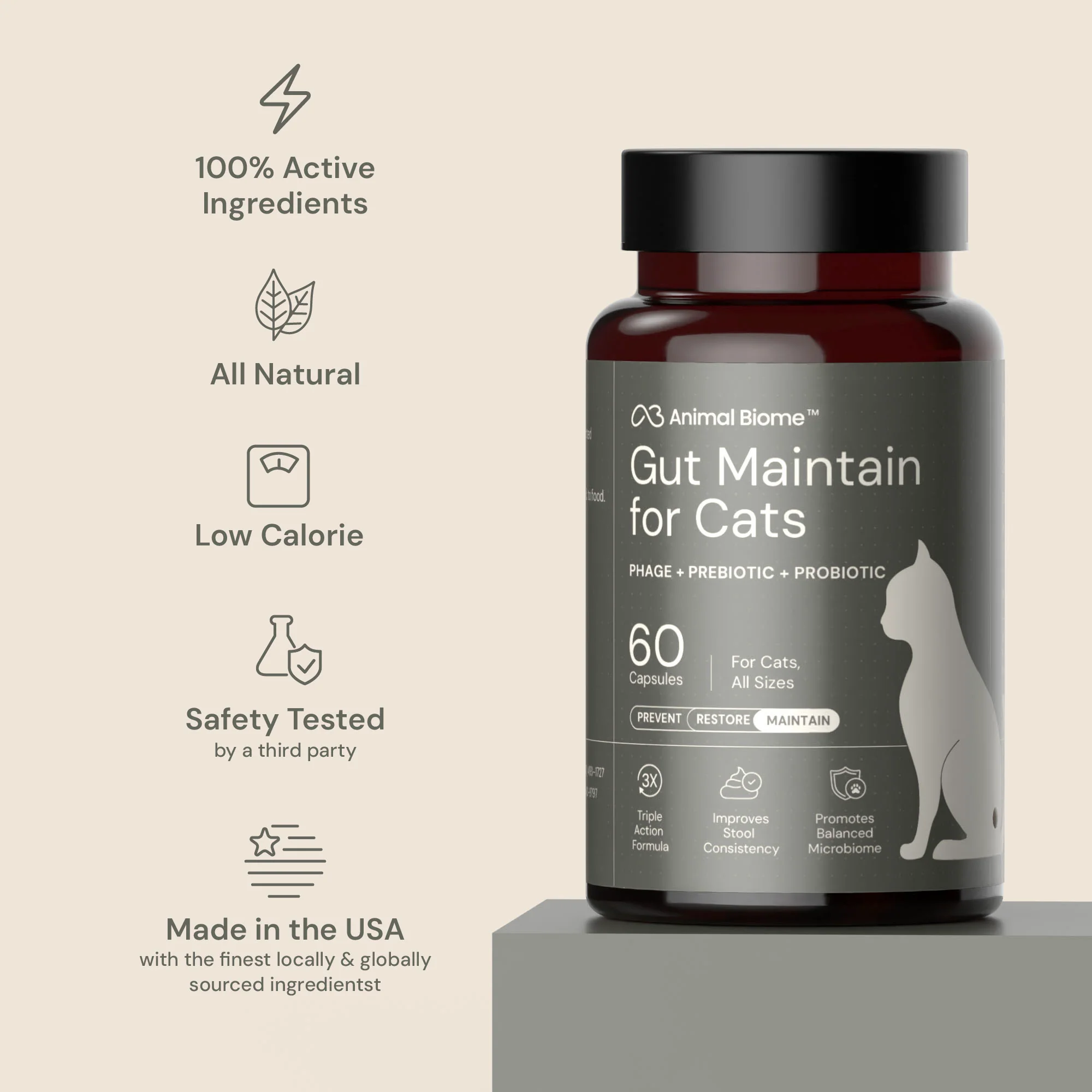 Gut Maintain for Cats - Image 13