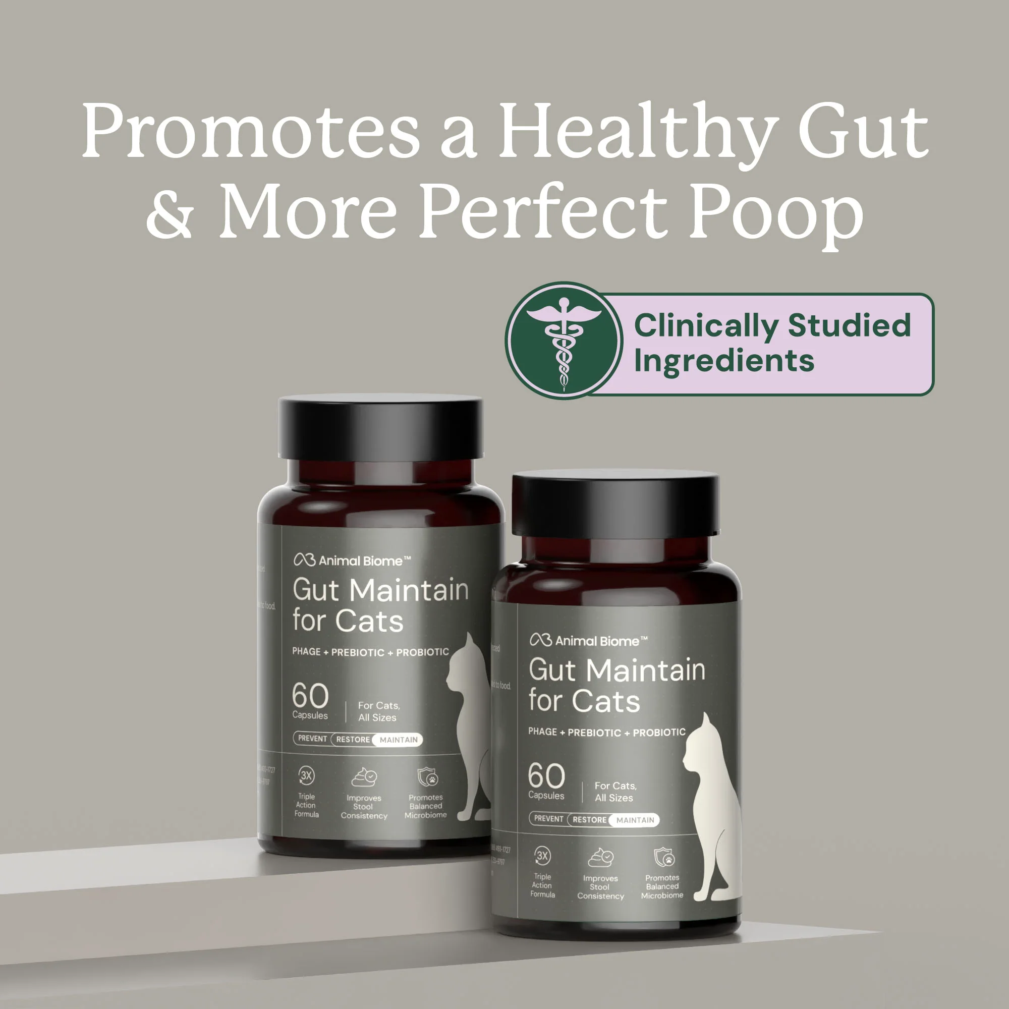 Gut Maintain for Cats - Image 3