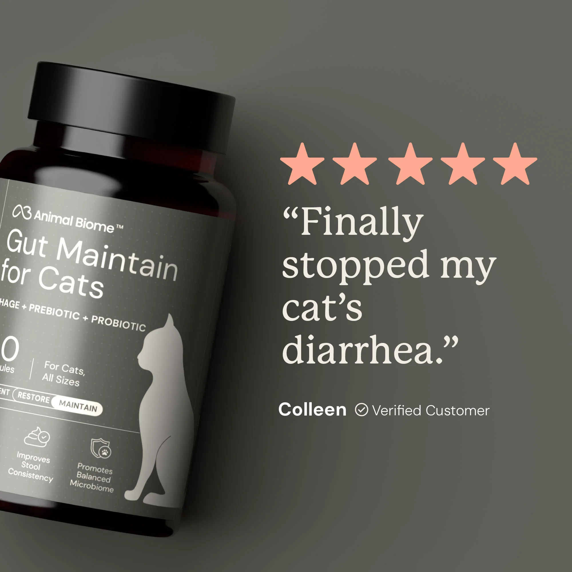 Gut Maintain for Cats - Image 6