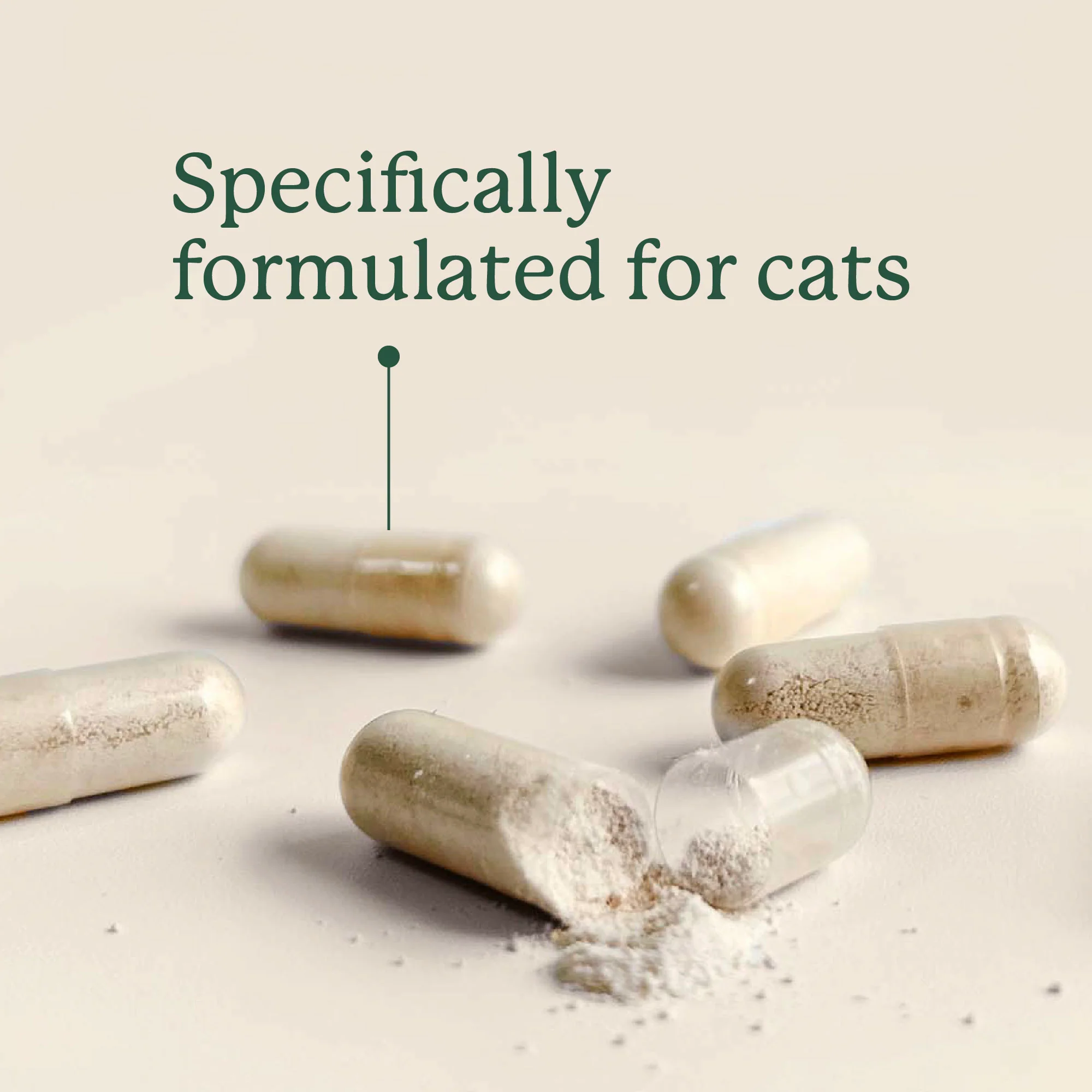Gut Maintain for Cats - Image 7