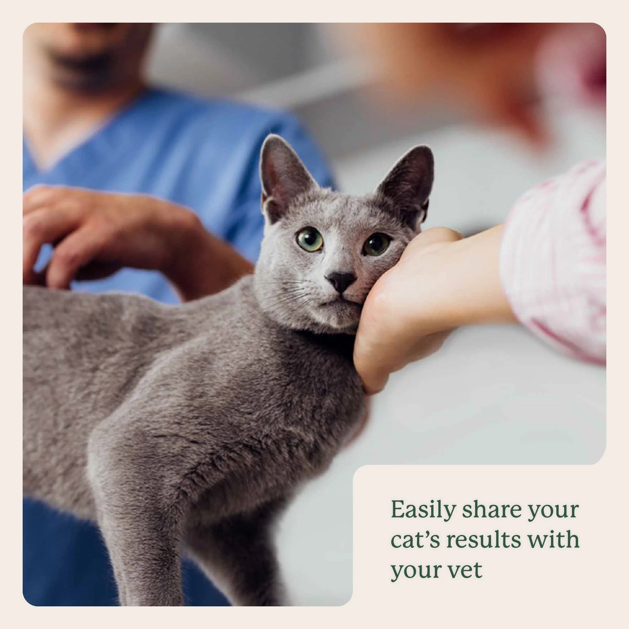 Gut Microbiome Test for Cats - Image 13