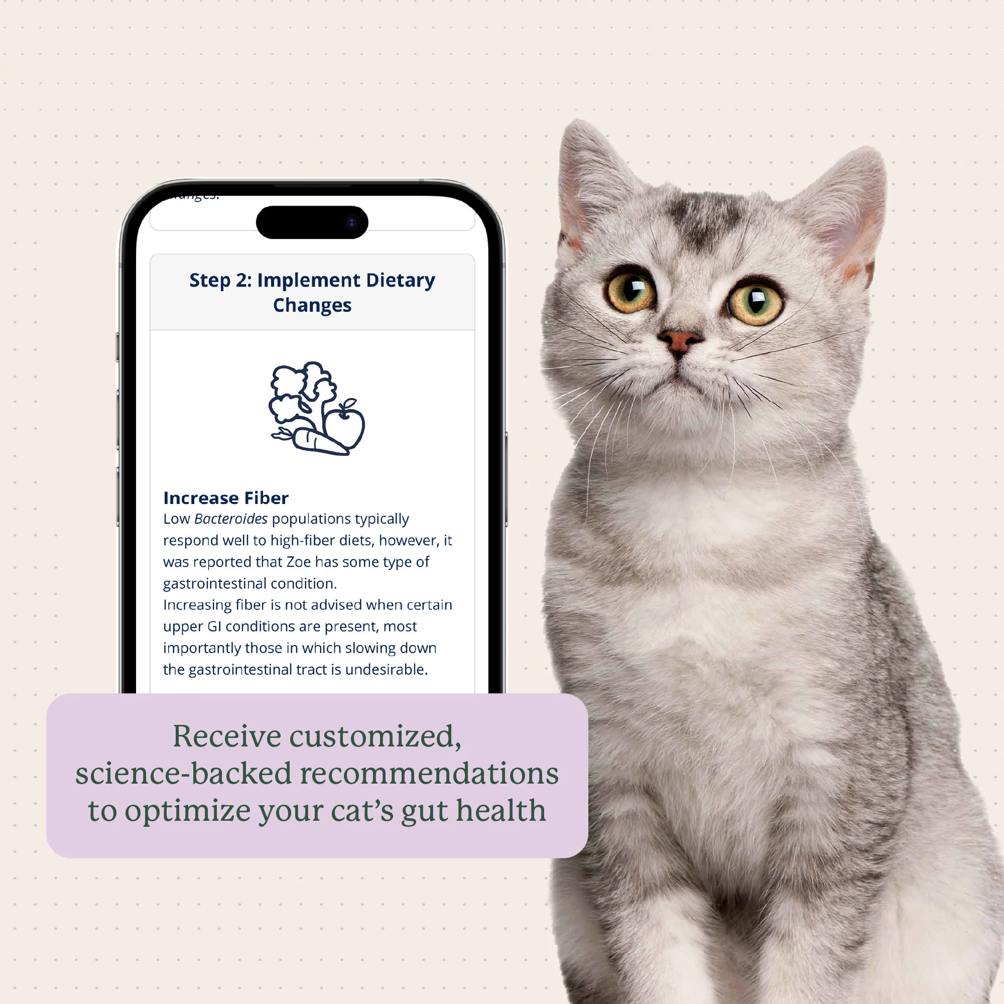 Gut Microbiome Test for Cats - Image 8