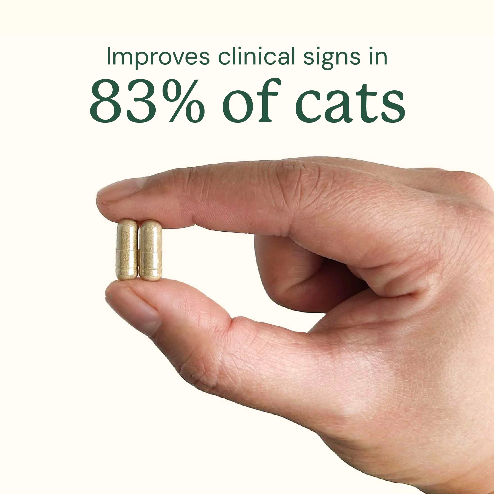 Gut Restore for Cats - Image 3